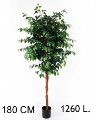 046 Veštačka stabla bendžamina